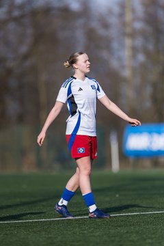 Bild 284 - F Hamburger SV 3 - Blau-Weiss 96 : Ergebnis: 5:1